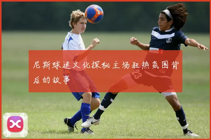 尼斯球迷文化探秘主场狂热氛围背后的故事